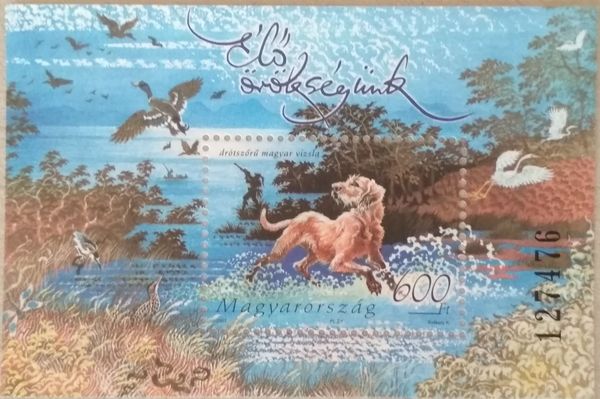 Wire haired stamp hstamp48c