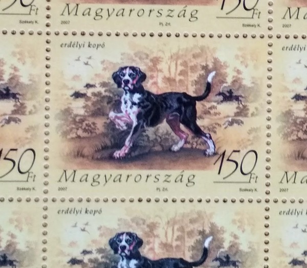 Transylvanian hound dog stamp hstamp52t