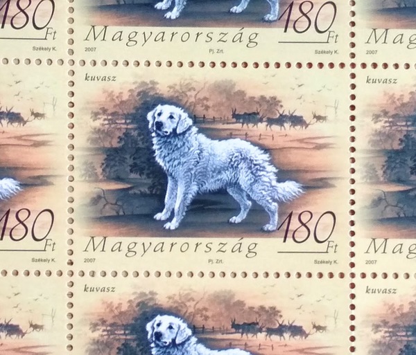 Kuvasz dog stamp hstamp52k