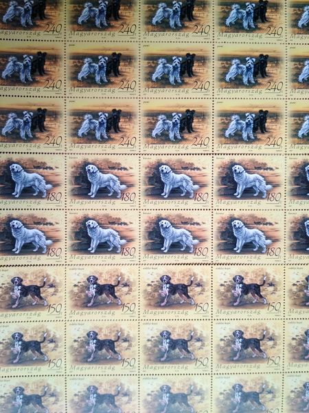 Hungarian dogs stamps hstamp52a