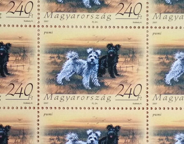 Pumi dog stamp hstamp52p
