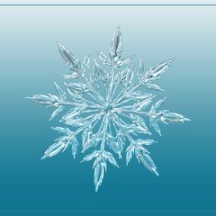 Snowflake
