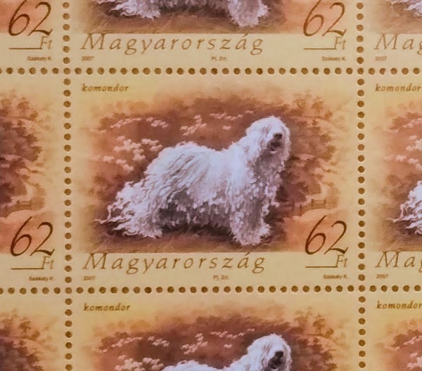 Komondor hungarian dog stamp hstamp52o