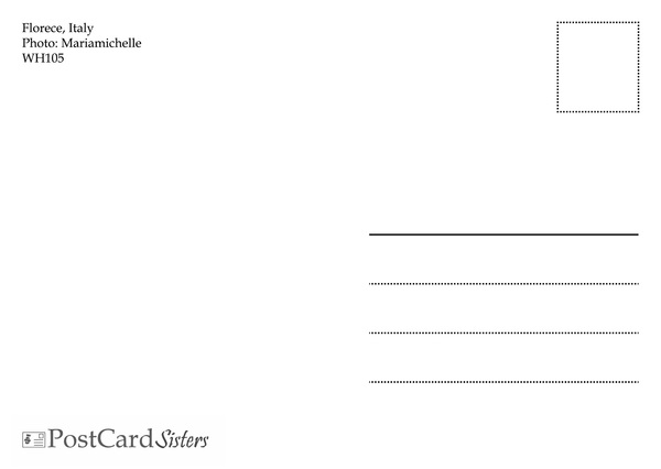 Florence italy postcard wh105 02