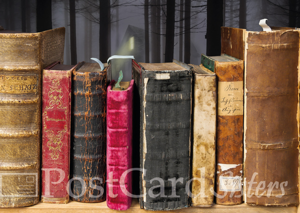 Old books postcard ps105w 01