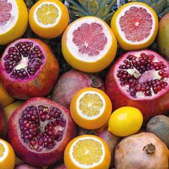 Fruits Postcard