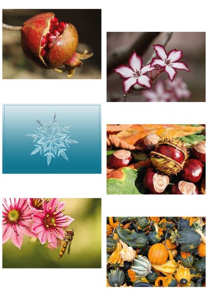 Nature postcards 01c