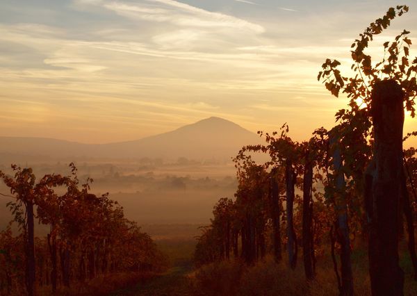 Hungarian wine region hu103c
