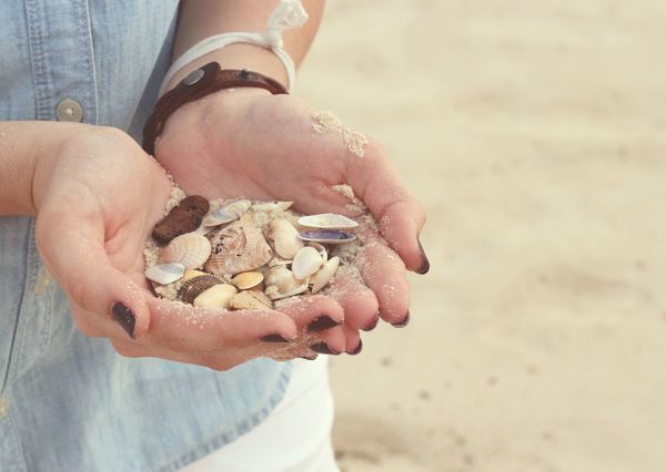 Seashells postcardsisters nt105c