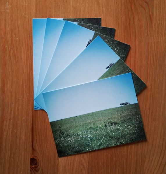 Transylvania postcard hk109c