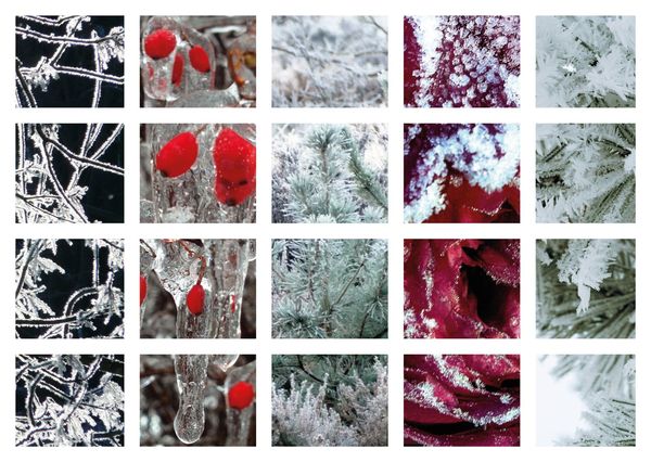 Frost winter postcard nt113c