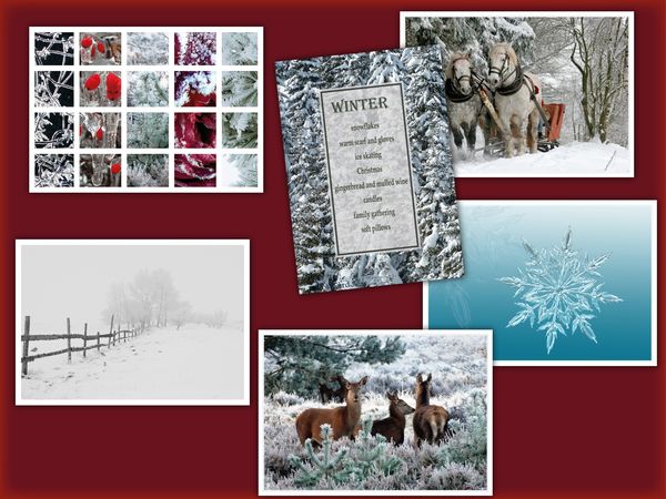Winter 6 pcs postcards bundle pack16c