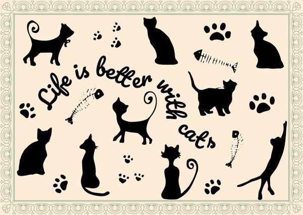 Cats quote postcard il108c