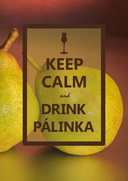 Keep calm palinka postcard ke106c