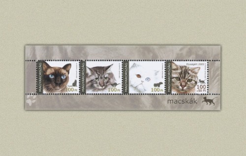 2005 003 ifjusagert macskak.preview