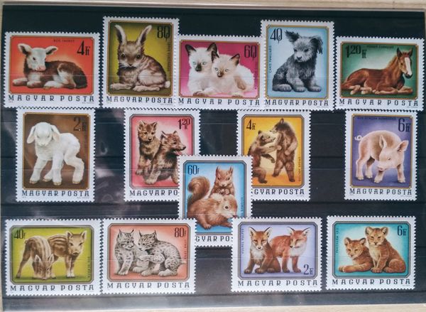 Baby animals thematic stamp collection them02c